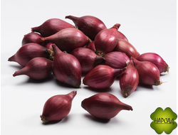 ЛУК-СЕВОК "КАРМЕН" (размер средний, 0,5 кг)