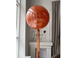 Стеклянный шар "Первый раз в первый класс"