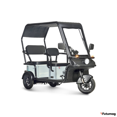 Электротрицикл Wanshida NIPLA 570 60V 1000Вт зеленый