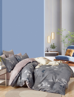 Постельное белье TANGO Twill сатин евро 200x220x1 230x250x1 50x70x2 70x70x2 TPIG6-1949