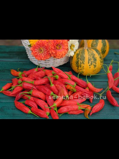 Перец сладкий Baccatum Pepper CAP 455 (Баккатум Кап 455), 10 шт