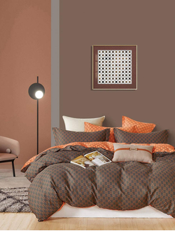 Постельное белье TANGO Twill комплект сатин евро 200x220x1 230x250x1 50x70x2 TPIG3-1718