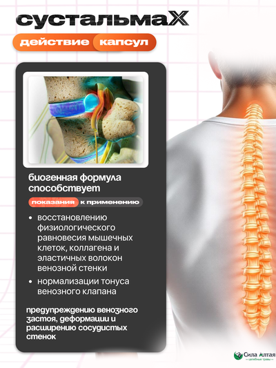 Сустальмакс: нейронные связи и здоровье вен