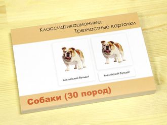 Трехчастные карточки «Собаки» (30 пород)