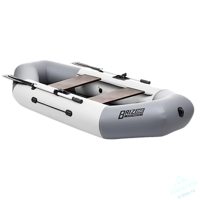 Лодка ПВХ Тонар Бриз 260