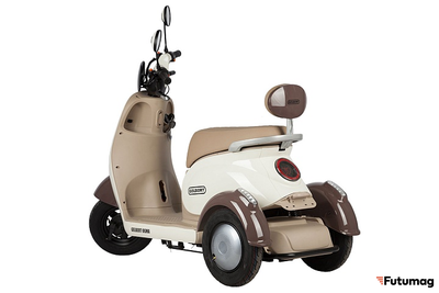 Электротрицикл Rutrike Gelbert Ogma 48V/60V 650Вт бело-коричневый