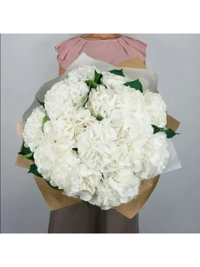 15 белых гортензий