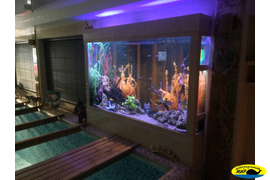 Высокий аквариум на просвет