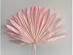 Лист пальмы розовый