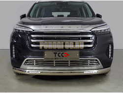 Защита передняя нижняя (овальная с ДХО) 75х42 мм ТСС для Exeed VX 2023-