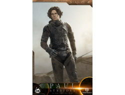 Пол Атрейдес (Тимоти Шаламе, "Дюна") - Коллекционная ФИГУРКА 1/6 scale Dune Paul Atreides (DL003) - AUG TOYS