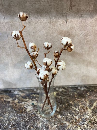 Хлопок в вазе