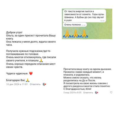 Ольга Николаева. Мой неповторимый путь. Откровения шамана.