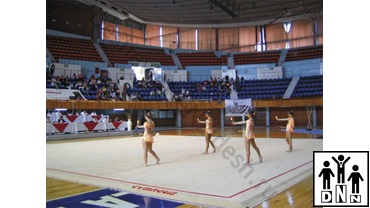 Ковер для художественной гимнастики