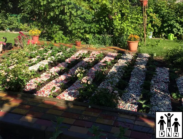 Дорожки для грядок между грядка