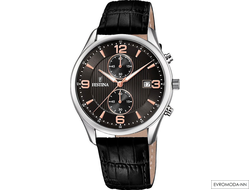 Часы мужские FESTINA F6855/7