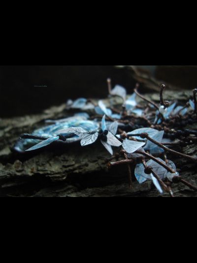 &quot;Ледяная Дриада&quot;, необычное колье в стиле фентези