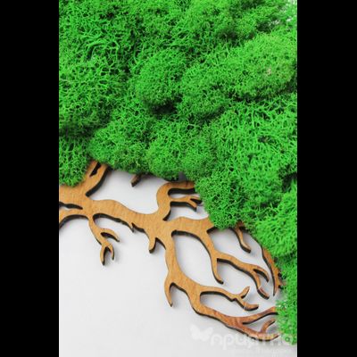 Живая Эко-Картина 1067