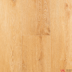 SPC ламинат FirstFloor Дуб Жасмин Светлый 1F065