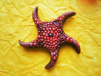 Красивая брошь "Морская звезда Золотых Морей" с родолитом