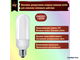 Philips Exterieur Ecotone 9w 827 E27