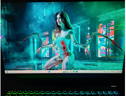 ARDOR Gaming ELEMENT L17-I9ND400 ( 17.3 Quad HD 2K IPS 240Гц i9-13900HX RTX4080 (175 Вт, 12Gb) 32Gb 2048Gb SSD )