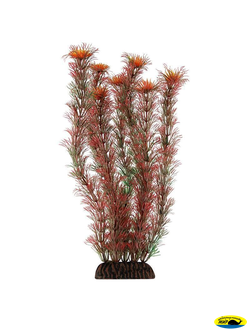 Ар 0710 2955Р Растение пласт.29см.красное Амбулия