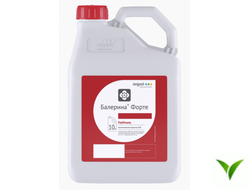 Балерина Форте СЭ 10 л