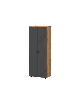 Байкал Шкаф двухстворчатый комбинированный SAFE Дуб Золотой/Графит