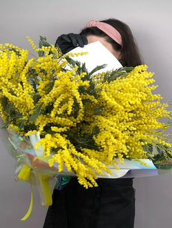 Охапка мимозы XL
