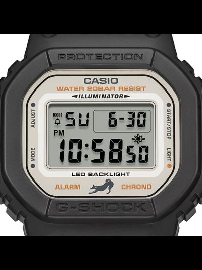 Часы Casio G-Shock DW-5600SHB-1
