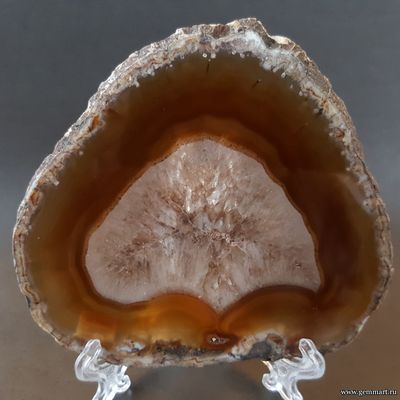 Агат — полированная пластина «Дерево» 104*91*4 мм