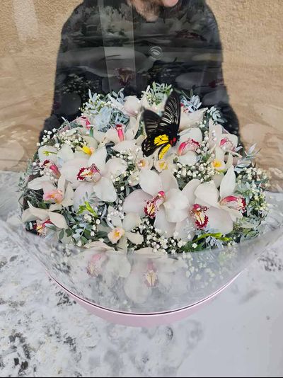 Букет орхидей с бабочкой №83