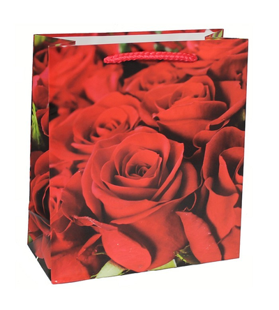 Пакетик подарочный для женщин 16х18х7см (микс)