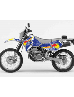 Suzuki DRZ 400 2002 - 2007 #607