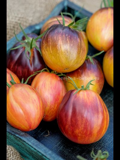 Томат Огненный Тюрбан, 10 шт