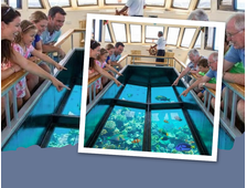 BOOT MIT GLASBODEN IN SHARM EL SHEIKH