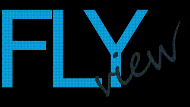FlyView VMS , лицензия на 1 канал