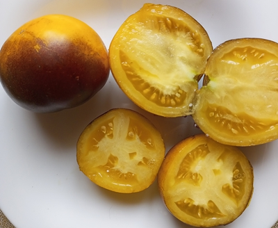 Томат Шоколадный мармелад