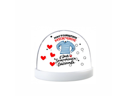 Водяной шар на 23 февраля №27