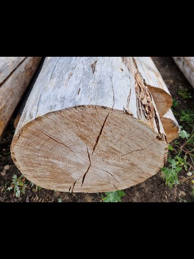 Бревно Кело диаметр 30 см, длина 6 м