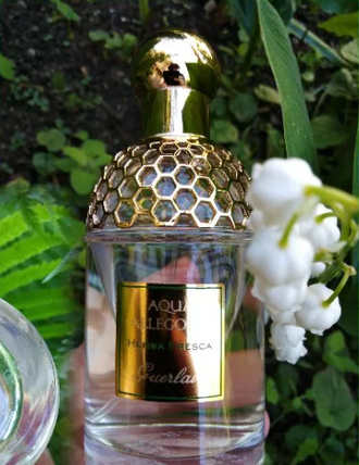 Aqua Allegoria Herba Fresca