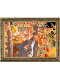 Запах осени, К3228