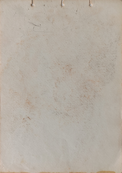 "Портрет" бумага сангина Соколов Н. 1950-е годы