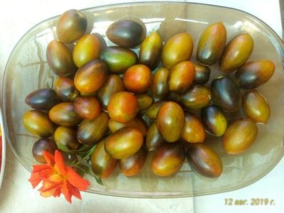 Томат Атомный виноград Бреда (Brad's atomic grape) США