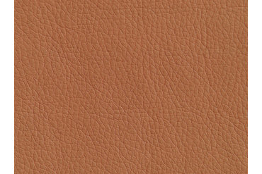 (СОЗ) Иск. кожа "Орегон" (Oregon) - 06

Состав ткани: полиэфир 49%, полиуретан 35%, хлопок 16%.
Плотность ткани: 455 г/м2.
Устойчивость к истиранию > 100 000 циклов.
Тип ткани: Иск. кожа.

ВНИМАНИЕ! Цвет материала может быть искажен настройками монитора.