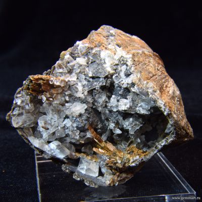 Гипс и псиломелан в полости ракушки. 61*50*39мм