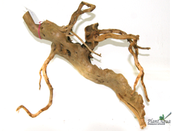 Коряга ПУСТЫННАЯ XXL (30-45 см)