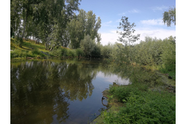Фотоальбом 1 
