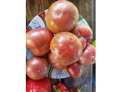 Томат гном Металлика (Dwarf Metallica)